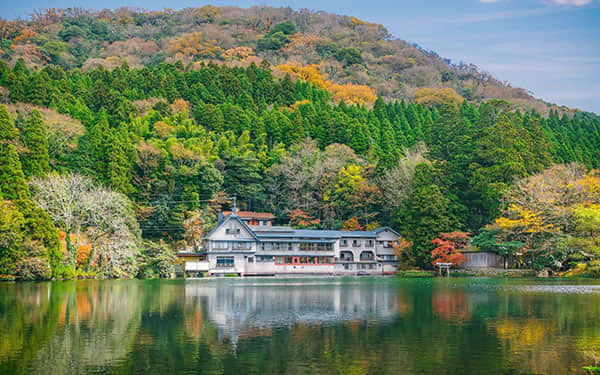 AI翻译“神器”亮相广交会 仅2秒响应时间 实现“用户开口,译文同步”!