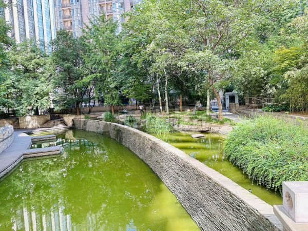 AI翻译“神器”亮相广交会 仅2秒响应时间 实现“用户开口，译文同步”！
