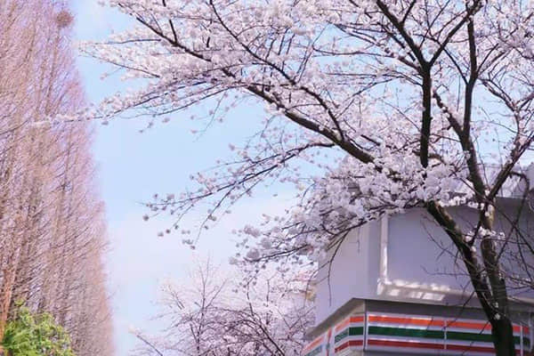 AI翻译“神器”亮相广交会 仅2秒响应时间 实现“用户开口，译文同步”！