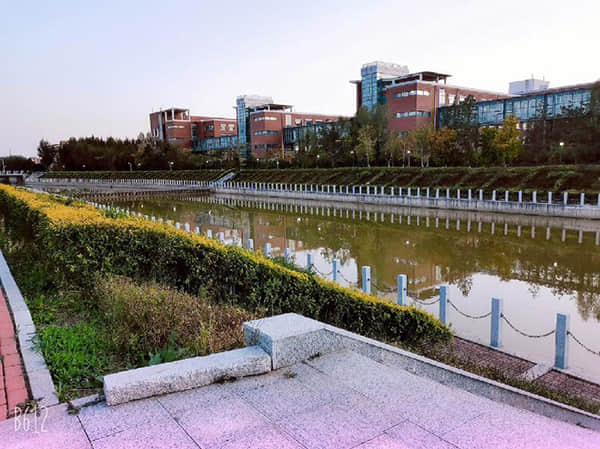 AI翻译“神器”亮相广交会 仅2秒响应时间 实现“用户开口，译文同步”！