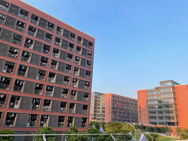 水井坊发布2025年三季报 第三季度重回盈利轨道